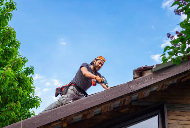 Best Commercial Roofing Services  in Schleswig, IA