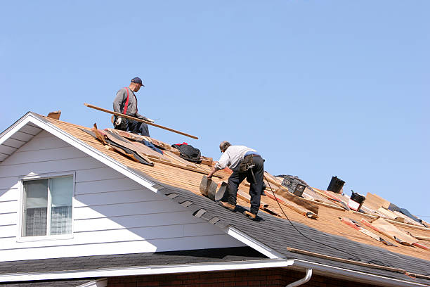  Schleswig, IA Roofing services Pros